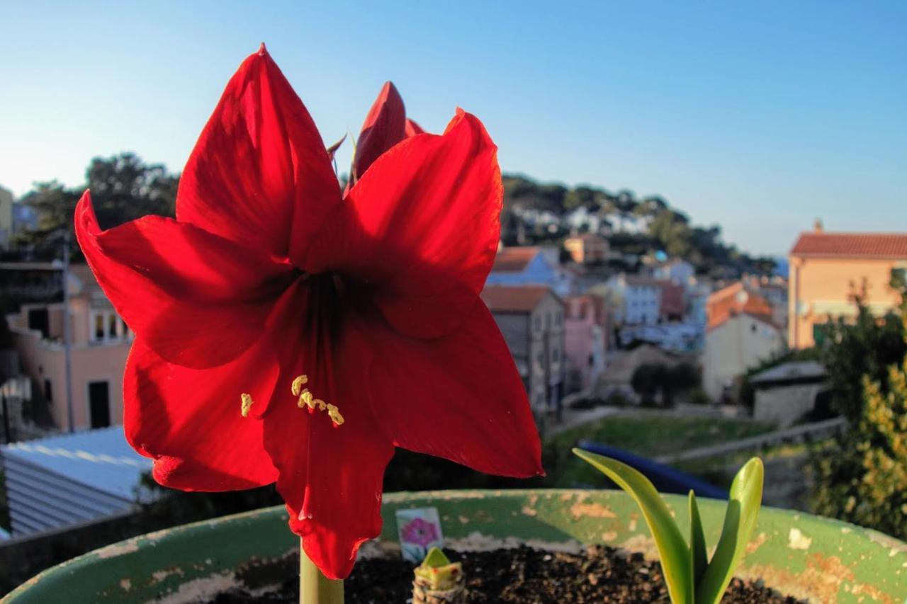 Amaryllis Residence, Apartment Diana & Deluxe Rooms With Shared Kitchen Veli Lošinj Exterior foto