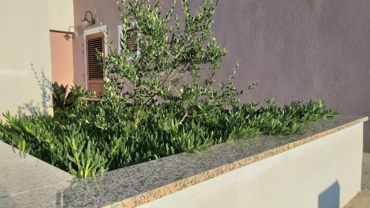 Amaryllis Residence, Apartment Diana & Deluxe Rooms With Shared Kitchen Veli Lošinj Exterior foto